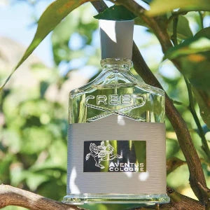 Aventus Cologne By Creed for Men