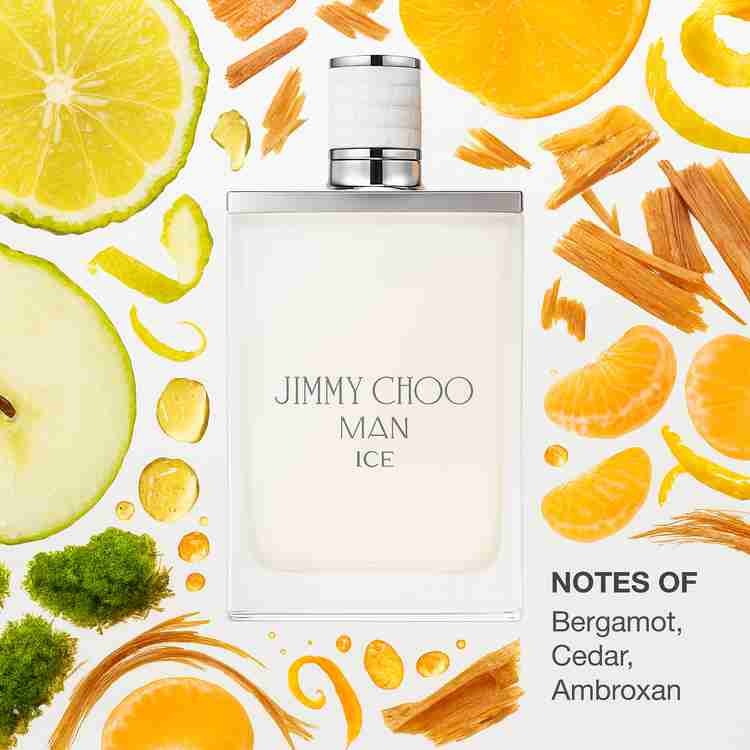 Jimmy Choo Ice Eau de Toilette 3.4 oz